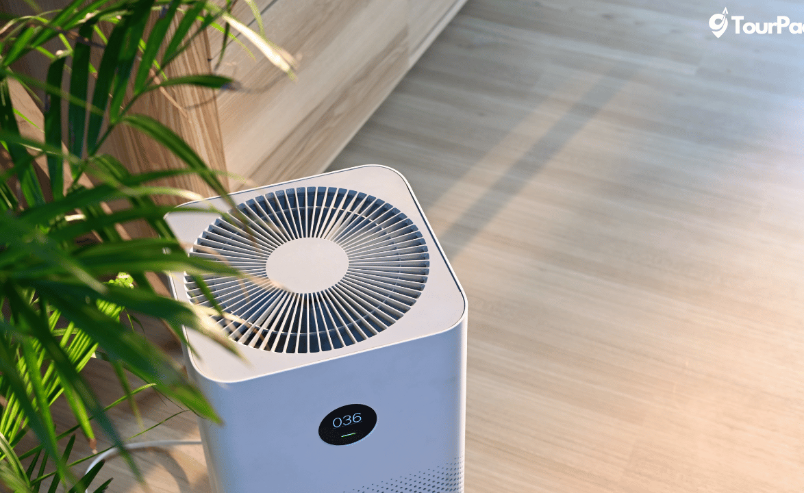 Best Air Purifiers For Allergies