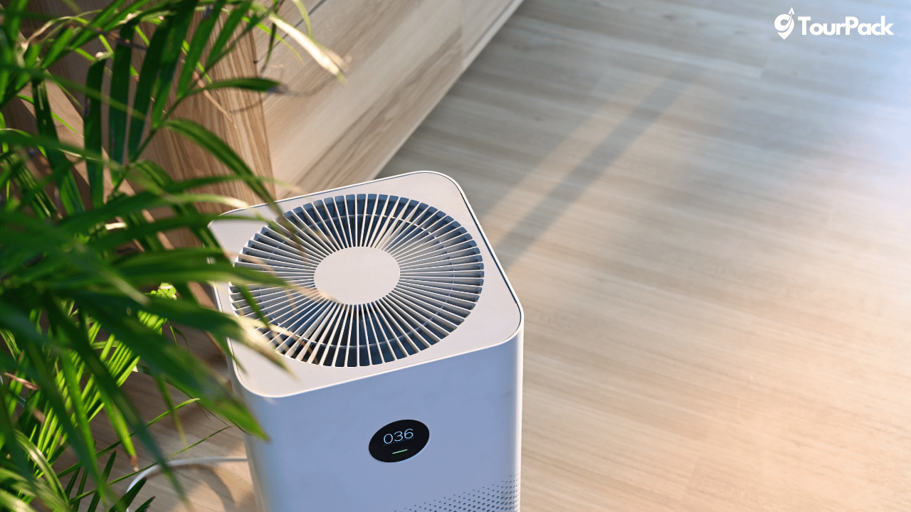 Best Air Purifiers For Allergies
